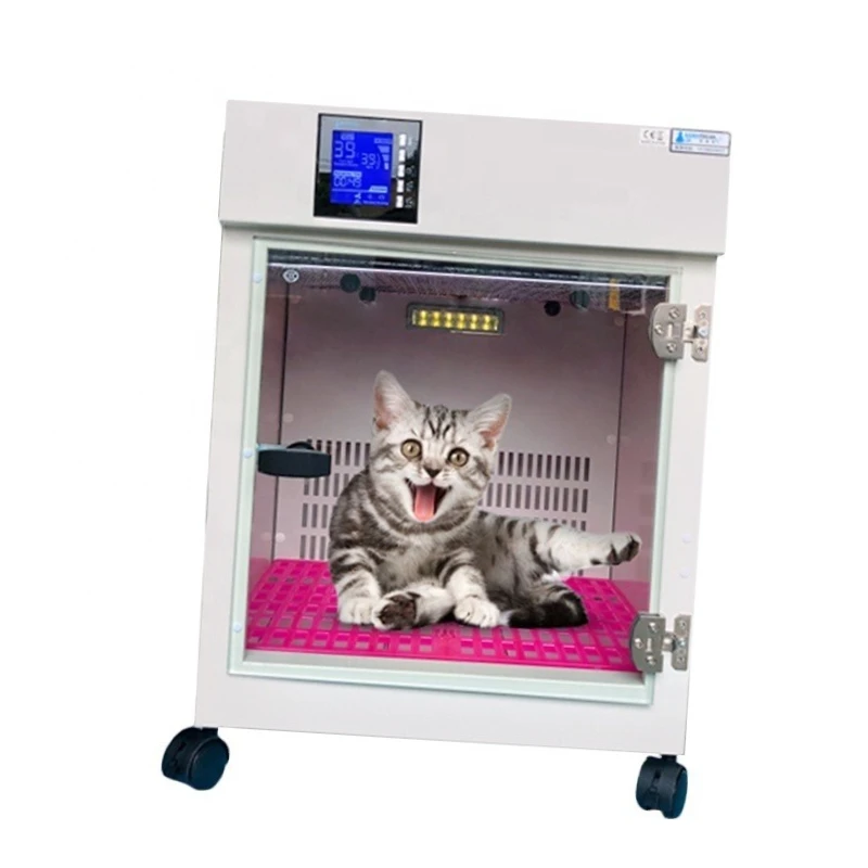 

Small Dog Cat Used Hair Dryer Machine Hair Dry Device for Small Pet