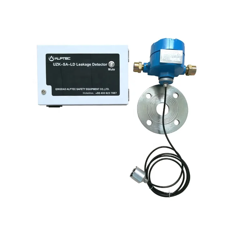 

Electric liquid fuel leak detector