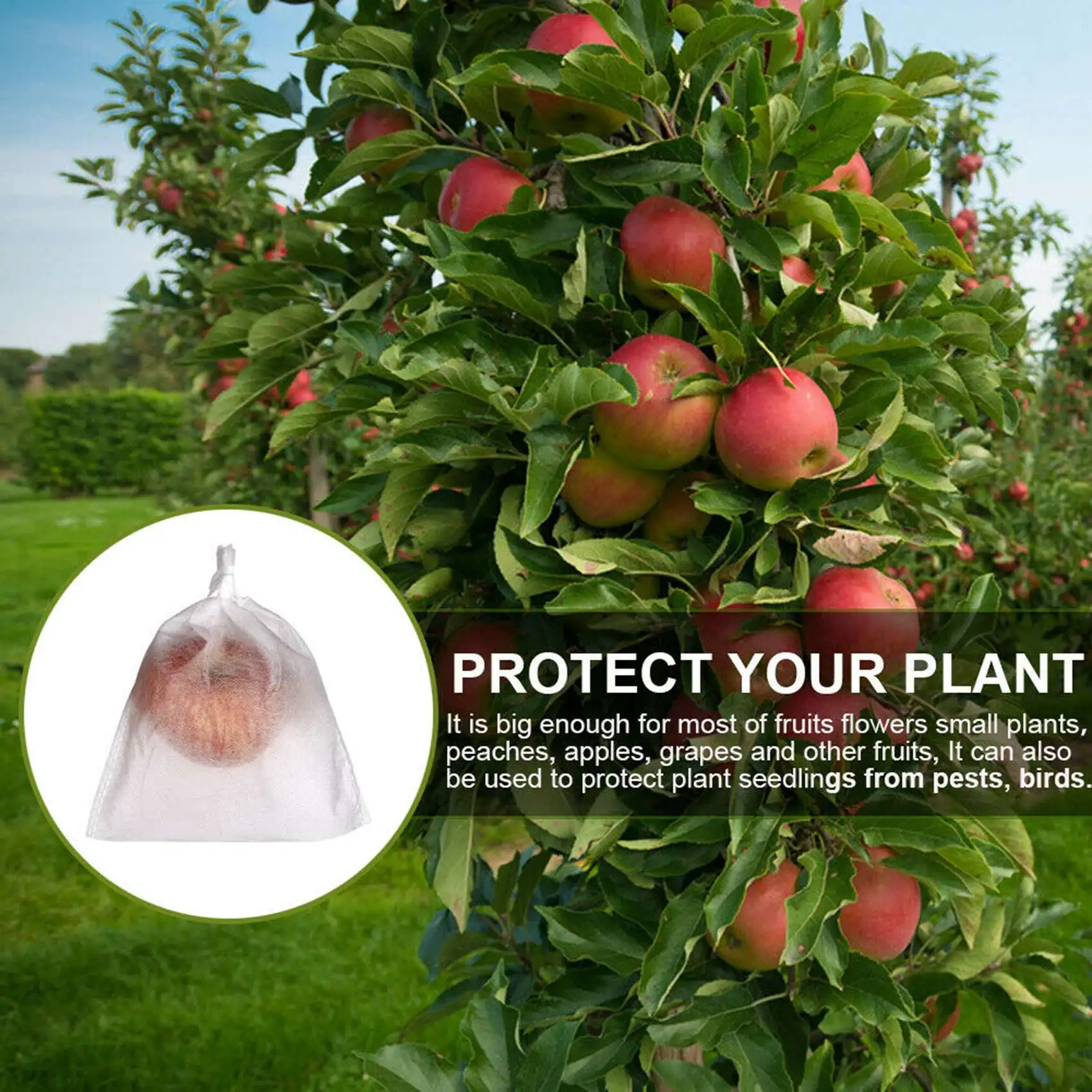ABCA-300PCS Garden Plant Fruit Cover Protect Net Mesh Bag Against Insect Bird Pest