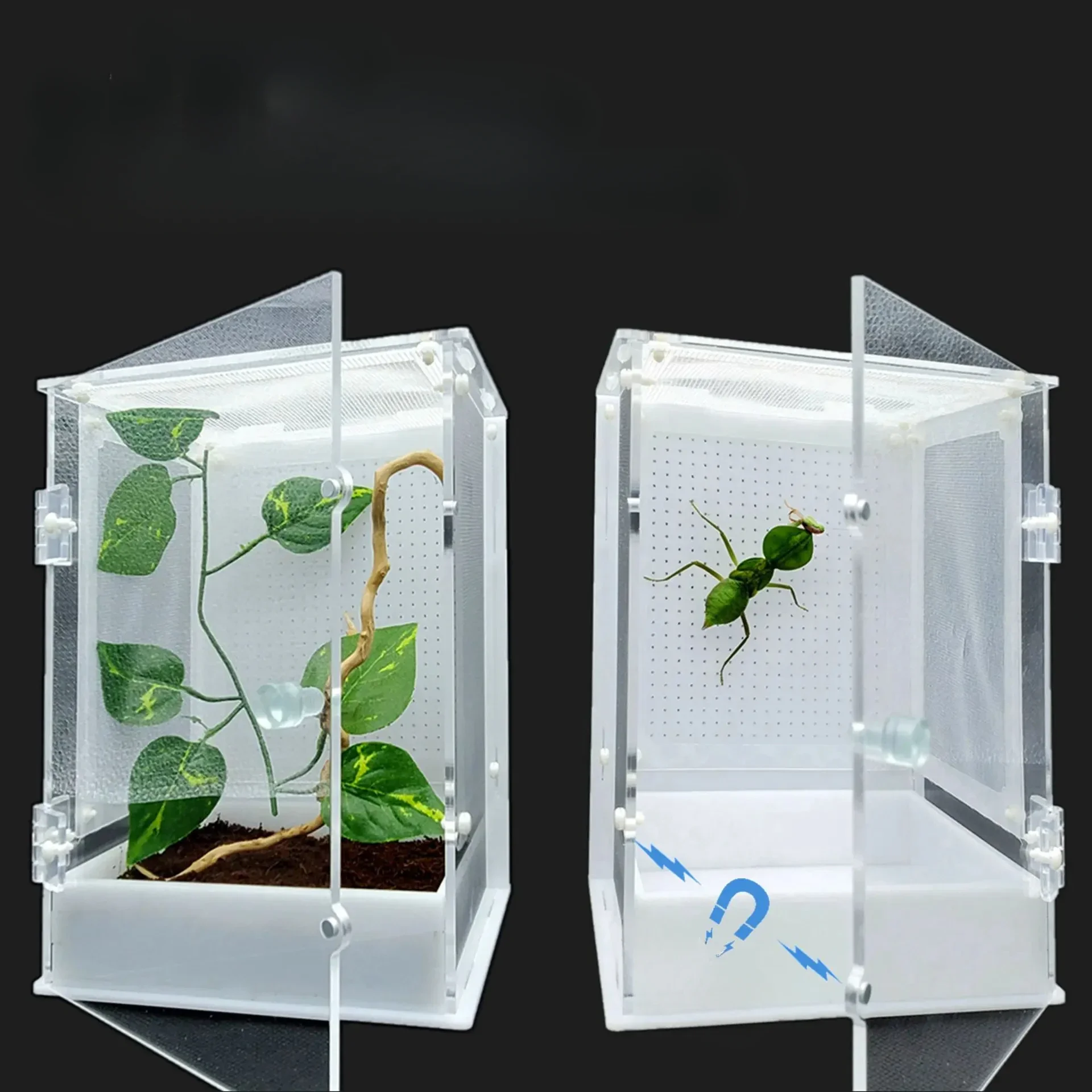 Spider Terrarium Insect Box Mantis Farm Acrylic Breeding Box Feeding Insect Breeding Cage Plants Terrariums Jumping Spider