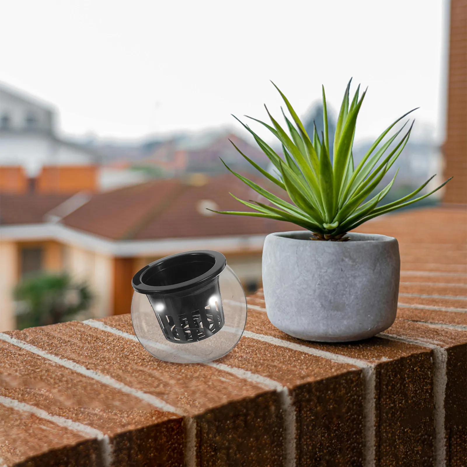 2Pcs Mesh Net Cup Planter Pot Hydroponic Terrarium Fish Bowl Soil-Free Root Observation Desk Plant Station Indoor Office Kitchen