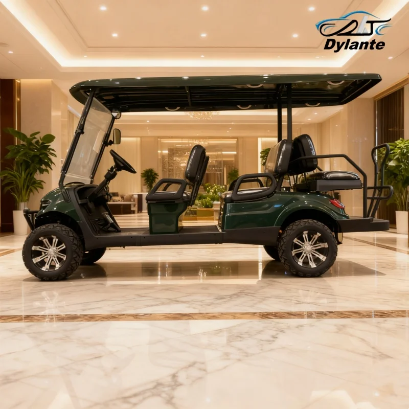 2025 New Model C Go…