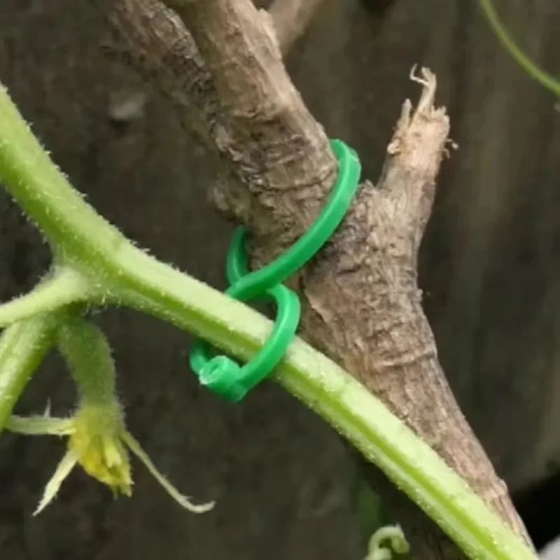 10/20/50/100 Pcs Vine Strapping Clips For Growing Upright Plant Holder Green Plastic Bundled Ring Garden Stand Tool Vine Support
