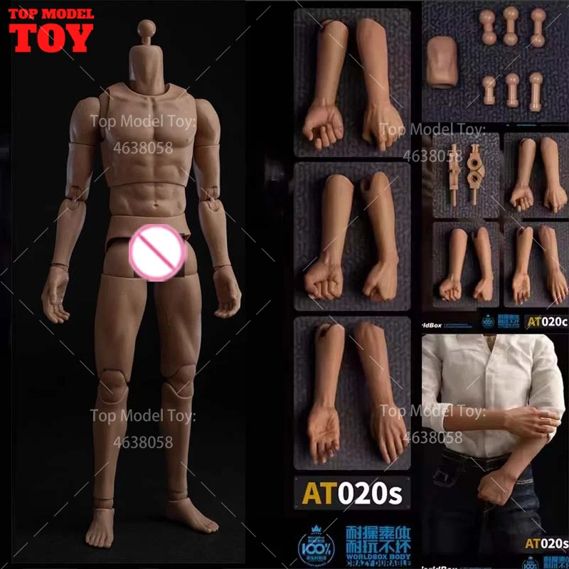 

Worldbox AT020 Pro 1/6 Static One-piece Arm Body AT020C Arms Accessories 12'' Male Soldier Action Figure Fit 1/6 Head Sculpt