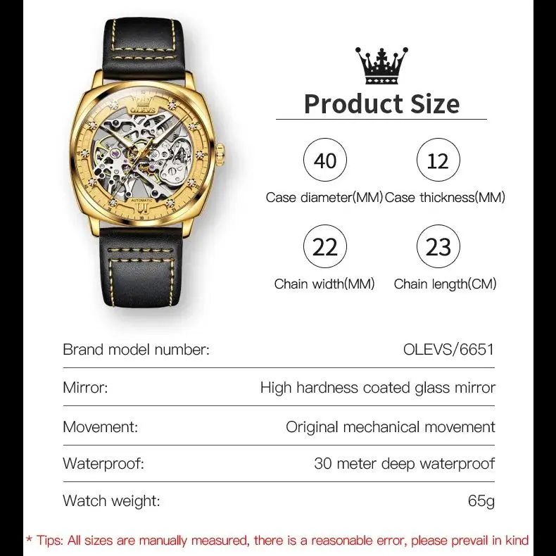 Olevs-男性用自動機械式時計,防水,透かし彫りフライホイール,常夜灯,ビジネスファッション,高級ブランド,6651