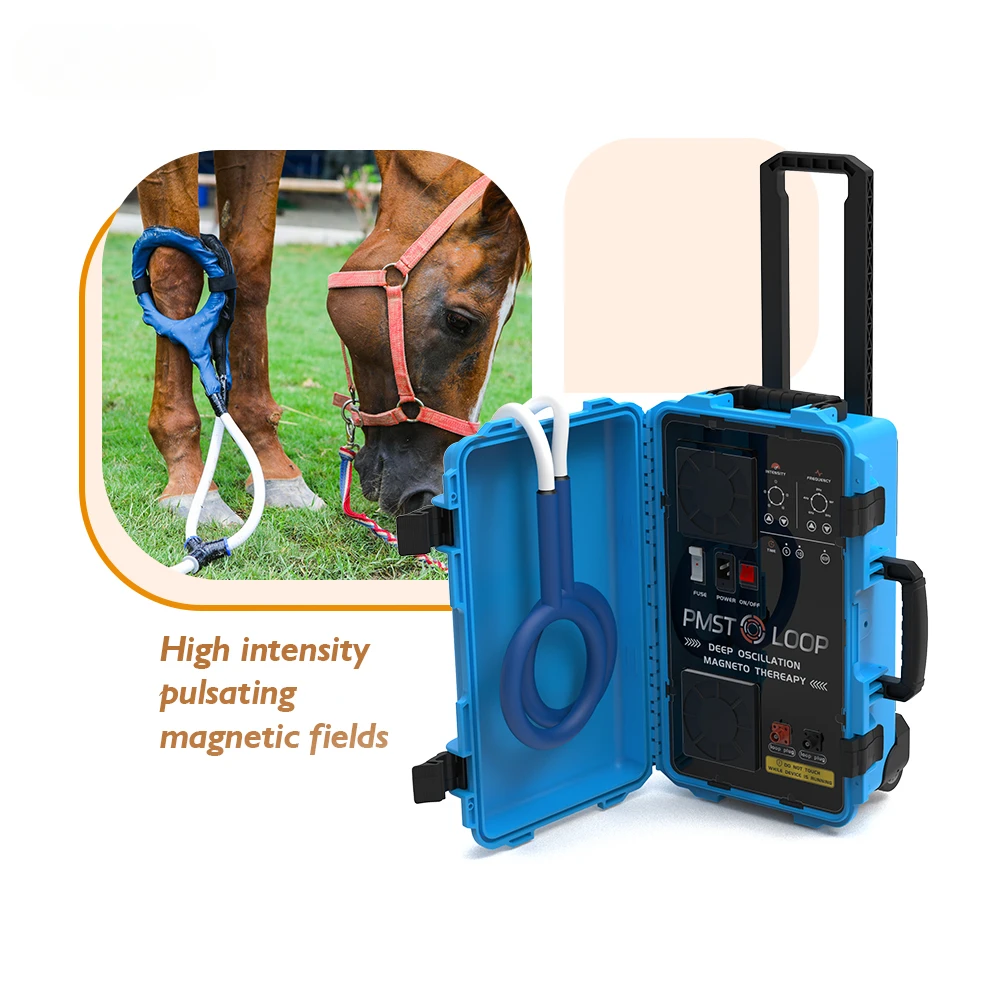 Equine Rehabilitation PMST LOOP Electromagnetic Therapy Professional Safe and Effective Treatment Reduces Pain Swelling Soreness