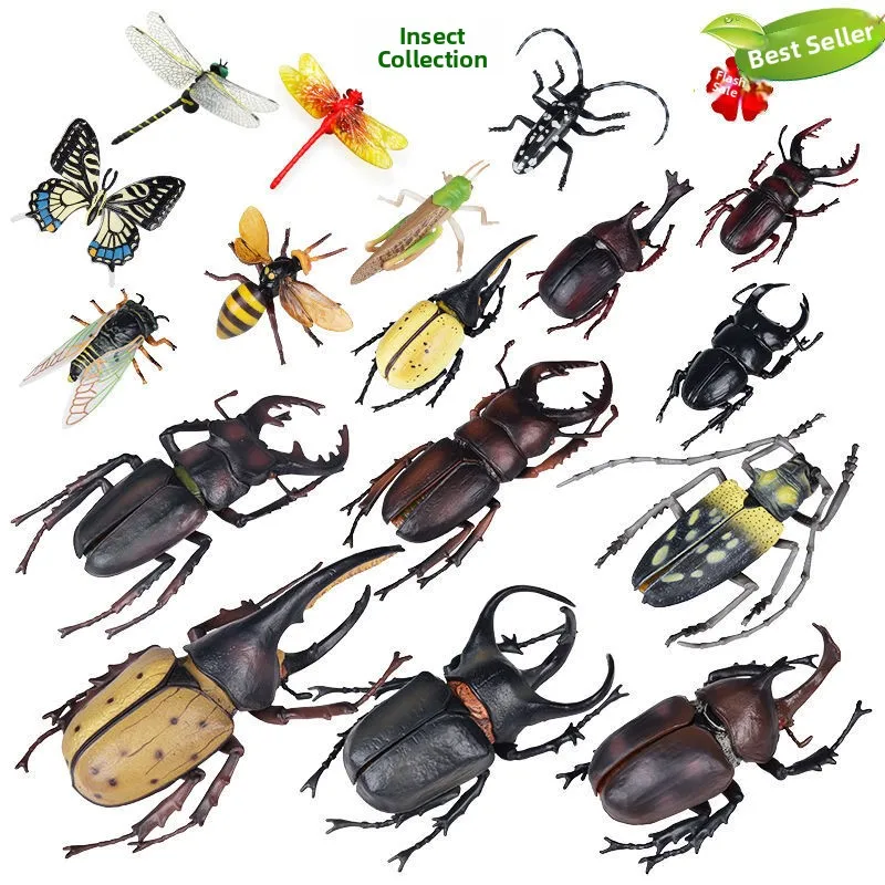 Children's Simulati…