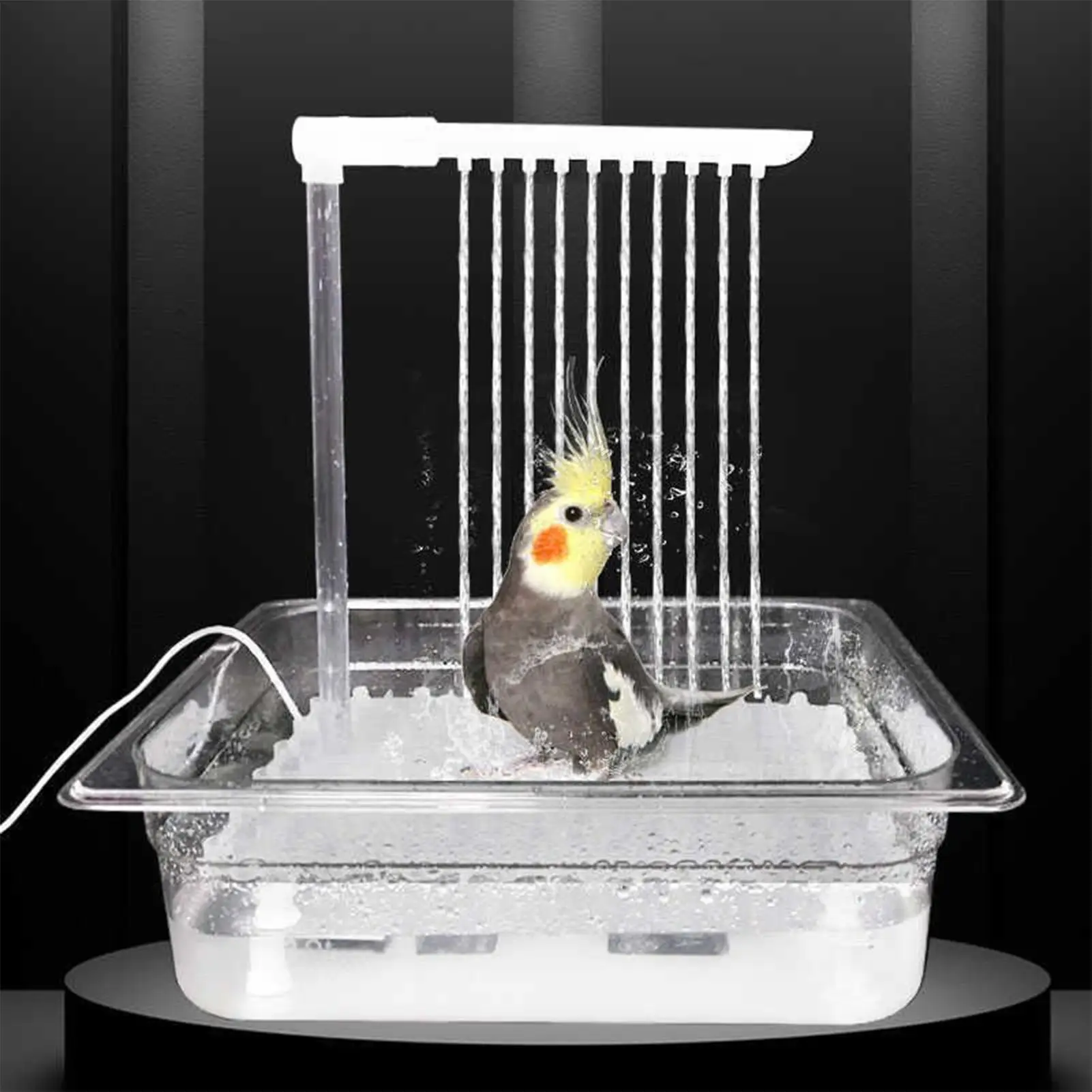 Thumbnail 4 - #37 Best Bird Cage Bird Baths to Buy In 2026
