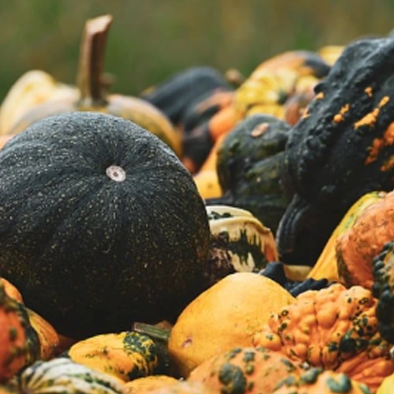 

Мотор DarwinFPV 2307.5 1960KV V3 для дрона DroneTraverser, для водонепроницаемого радиоуправляемого дрона Hulk II, аксессуары для FPV-гонок, мультироторов, DIY-проектов на радиоуправлении