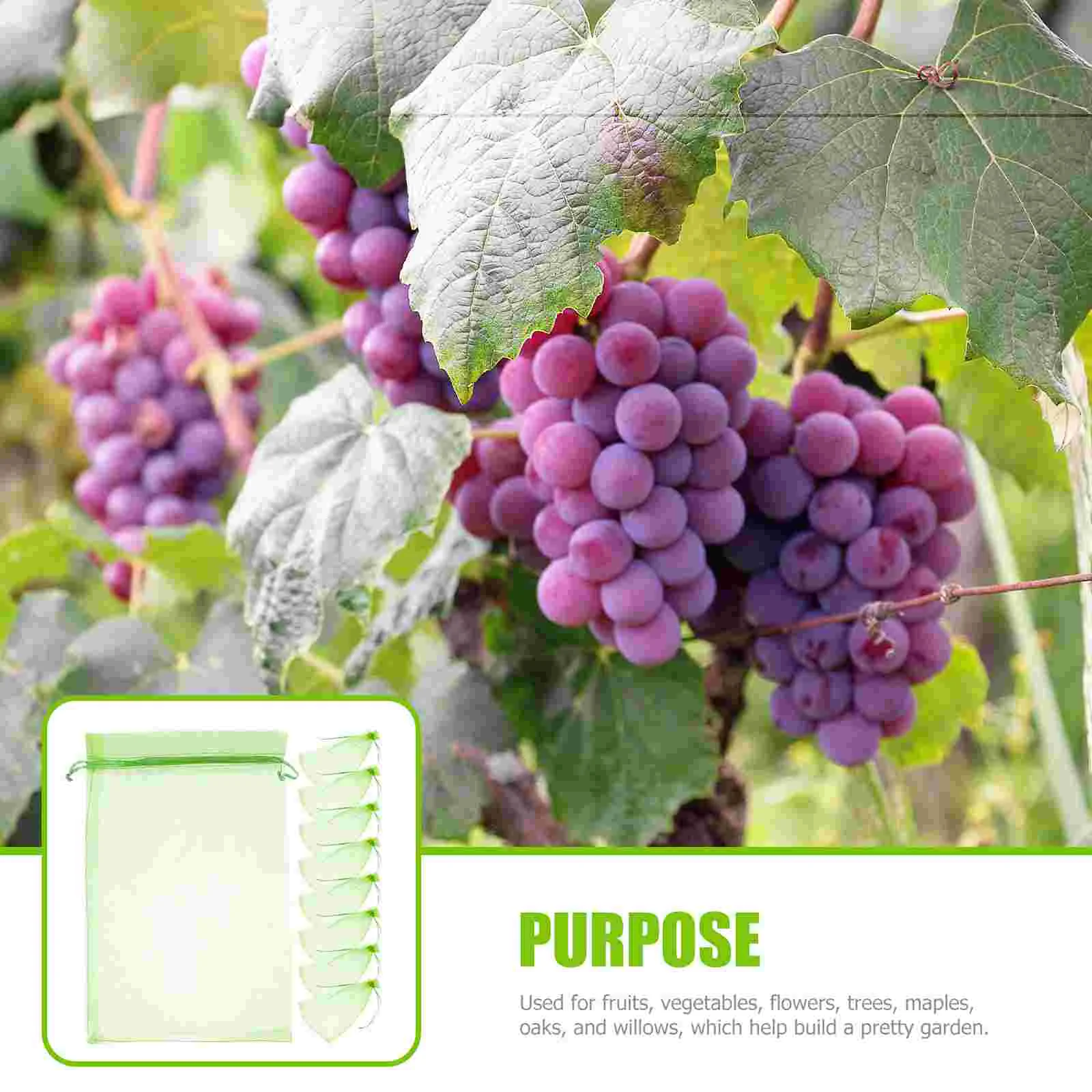 50 Pcs Anti-pest Net Bag Fruit Health Bags Care Insect-resistant Protective Shelter Grape Grow Organza Preservation