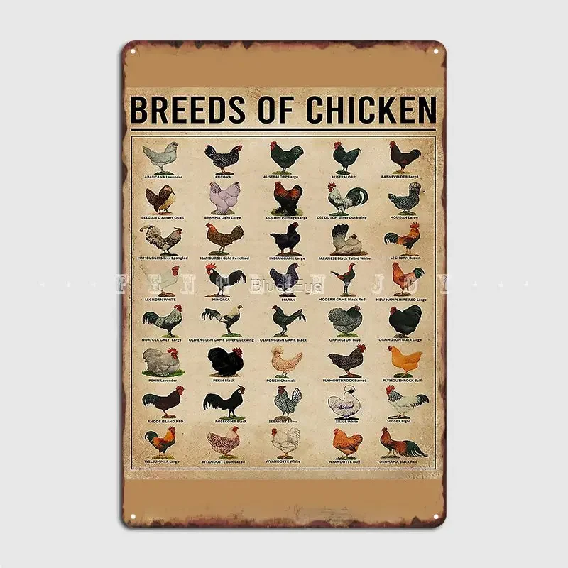 Breeds Of Chickens Knowledge Chicken Owner Metal Sign Plaques Cinema Kitchen Cave Pub Customize Tin Sign Poster
