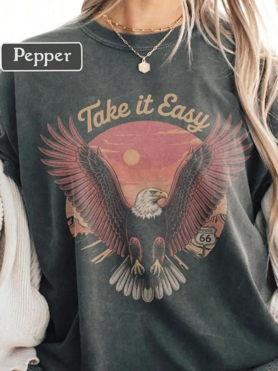 Vintage Eagle T Shirt, Vintage Rock Band Style Tee, Ro Ute 66 Desert Graphic Shirt, Retro Music Inspi