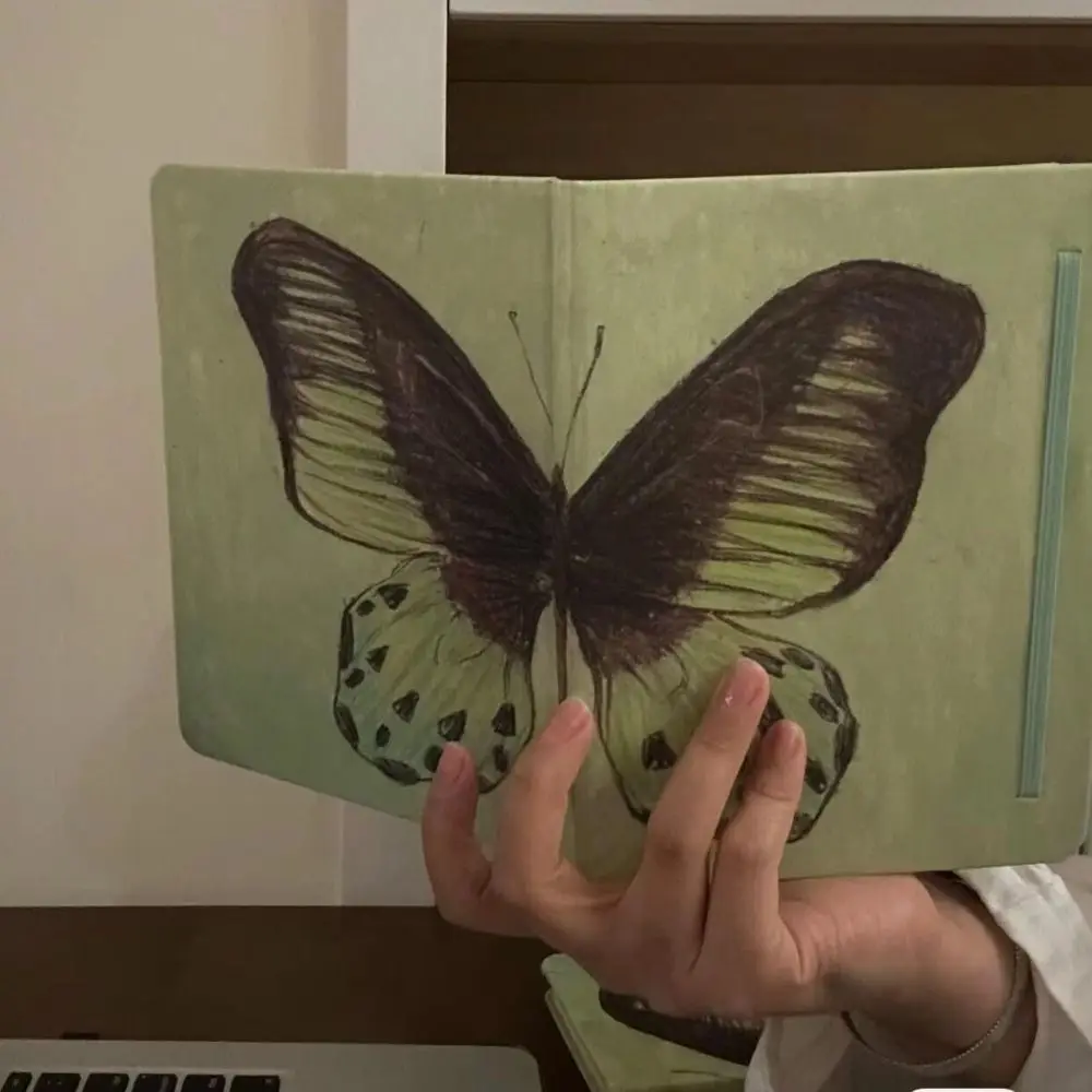 Blank Inner A5 Notebook Mint Green 80Sheets Butterfly Notebook Sketchbook Student Memoirs Journal Daily Planner Agenda Notepad