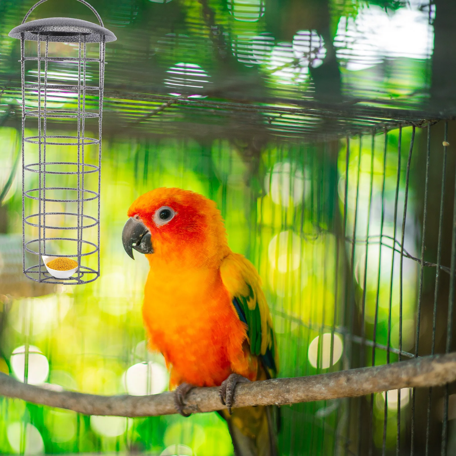 

1Pcs Chic Bird Feeder Environmental Protection Reusable Outdoor Hanging Feeder for Garden Yard Porch Food Container