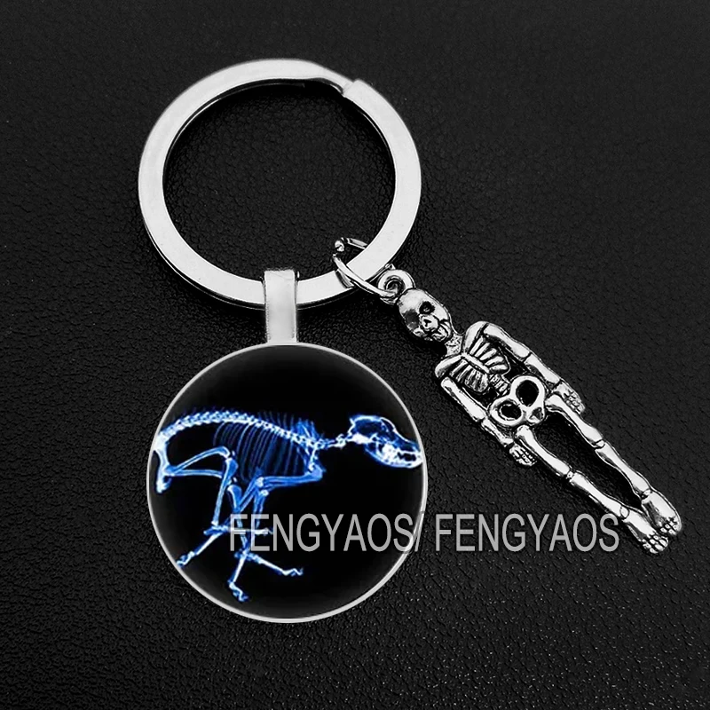 Creative X-Ray Keychain House Men and Women Radiology Keychains Purse Bag Key Ring Gift for Doctors