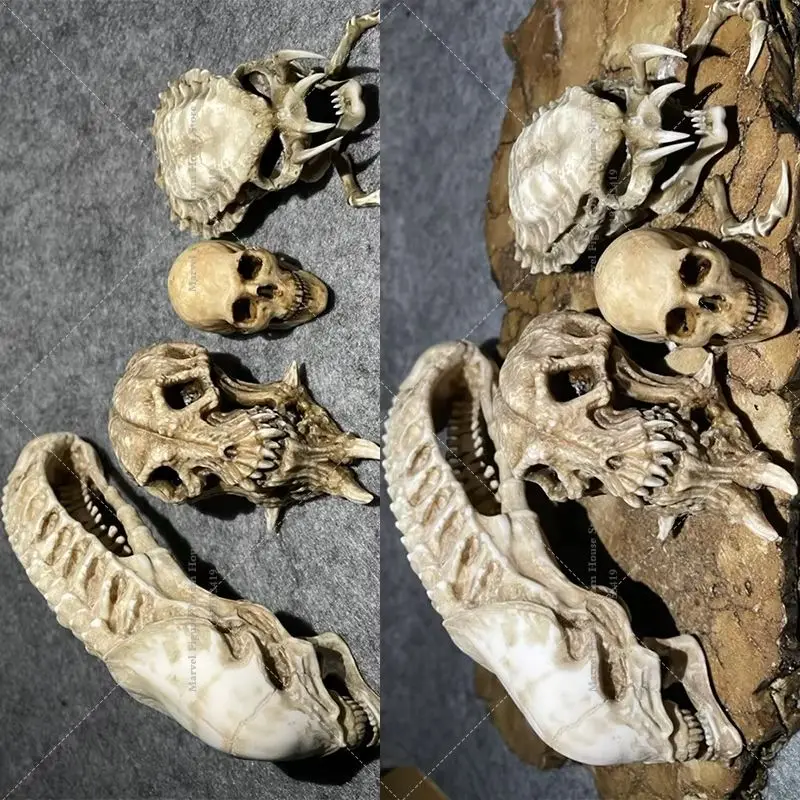 1/6 Scale  Female/male Accessory Handcrafted Extraterrestrial Creature Skull Replica Fit For 12-inch Action Figure Soldier