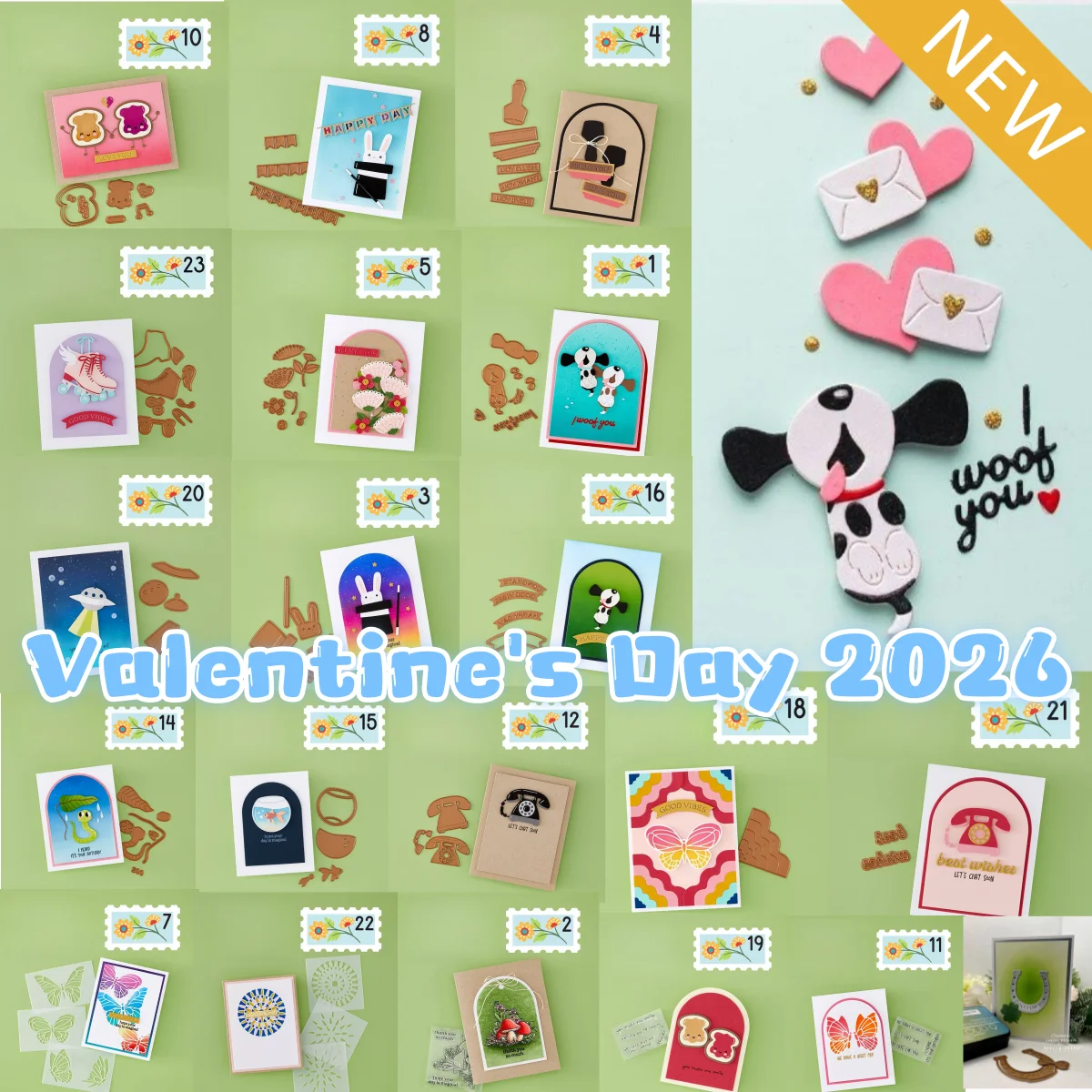 : Hunde-kleidung & schuhe