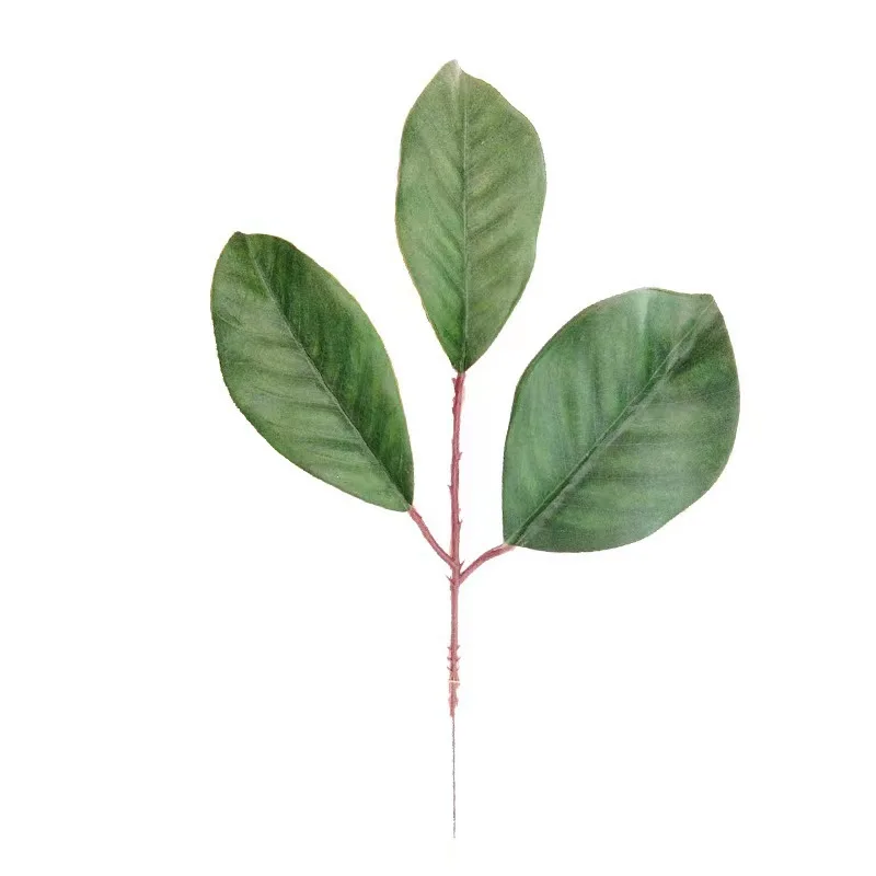 New Simulation Magnolia Leaf Tape Leaf Christmas Wedding Signature Flower Arrangement Decoration Accessories Direct Sales