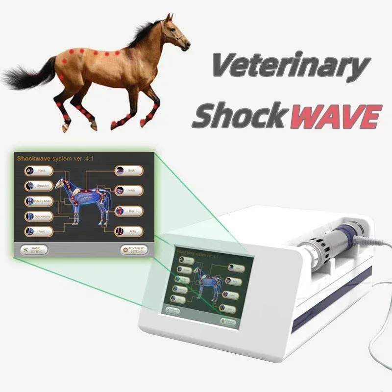 

Shock Wave for Horse Extracorporeal Veterinary Shockwave Therapy Pain Relief Racecourse Use Professional Physiotherapy Machine