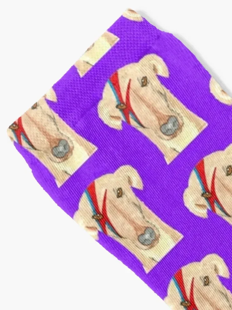 Ziggy Stardog Purple - Greyhound Ziggy with a purple background Socks Sports tennis cotton Socks Women's Men's