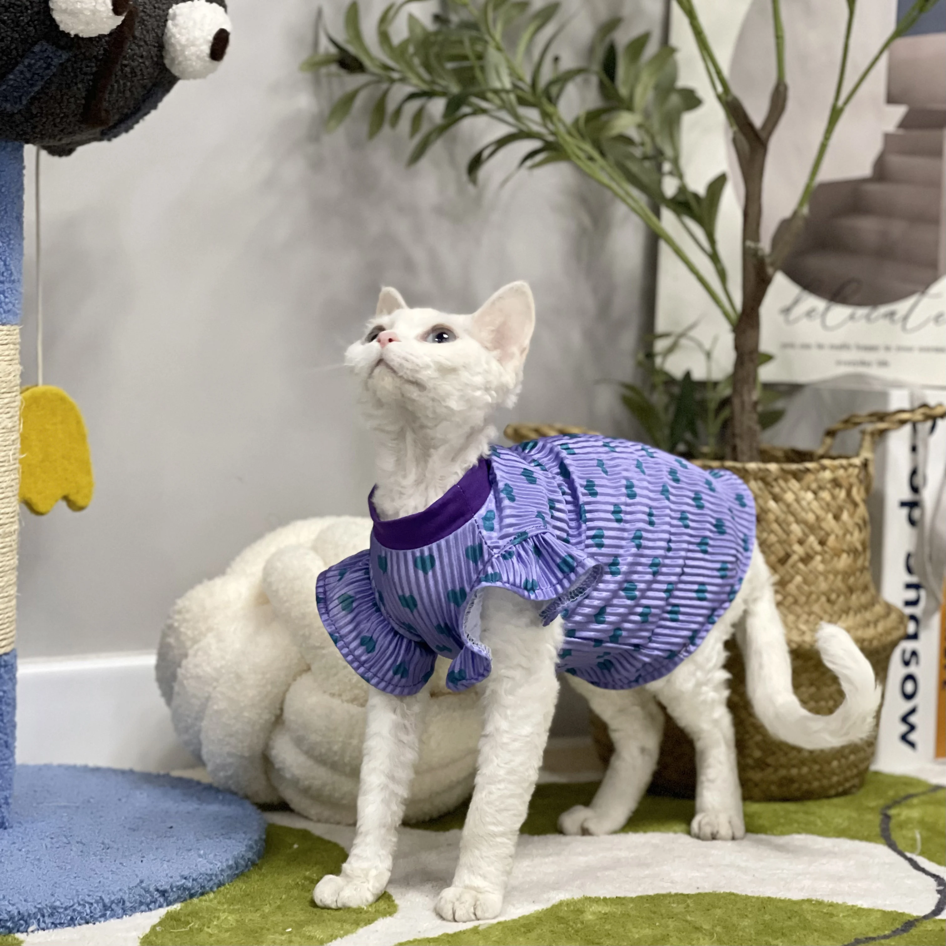 Cats Clothing Soft Cotton Yellow Purple Vest For Sphynx Cat Short Ruffled Sleeves Jumpsuit for Kittens Summer Dress for Cats