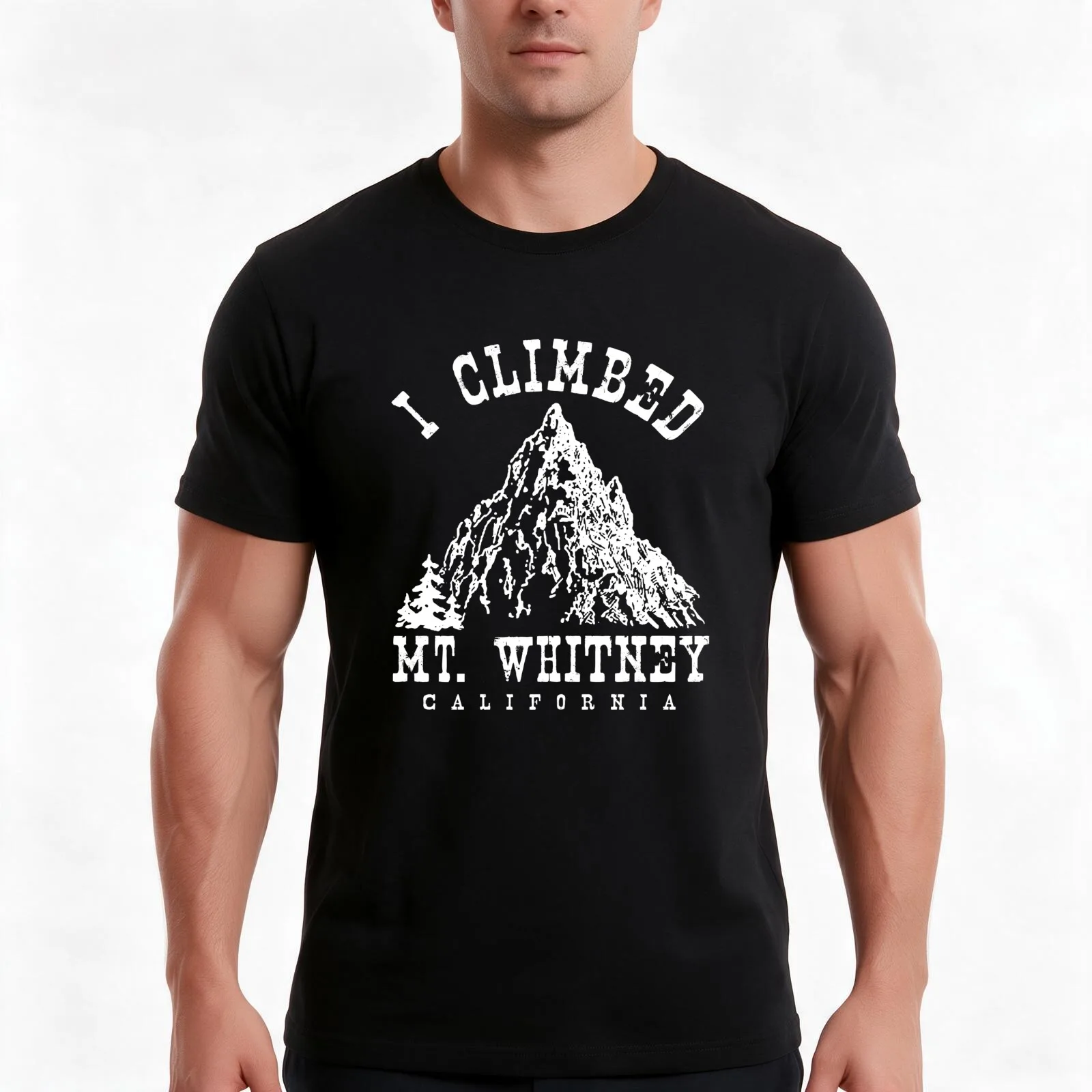I climbed Mt. Whitney T-Shirt, Summer Casual Cotton Tee, Oversized Streetwear Tops, Vintage Graphic Print, Unisex Men Women
