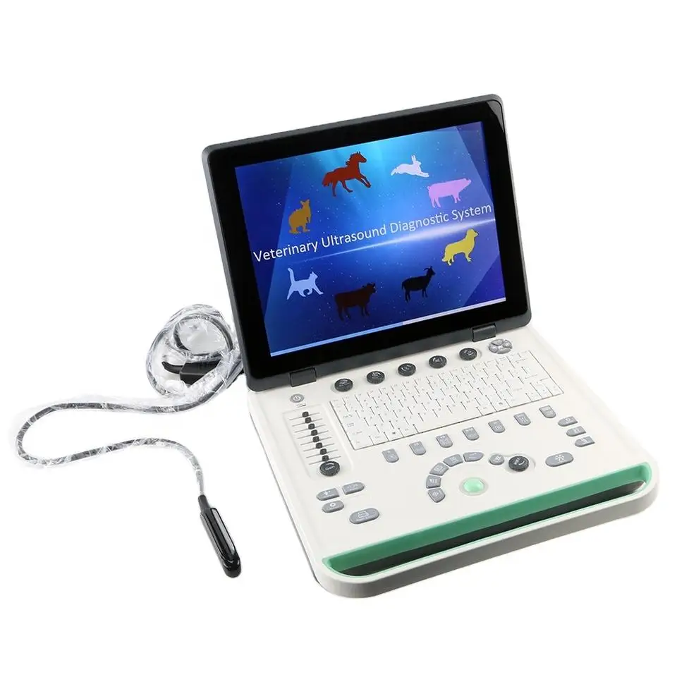 New Upgrade Animal Use Notebook 15 Inches LED Notebook Ultrasound Machine B Scanner