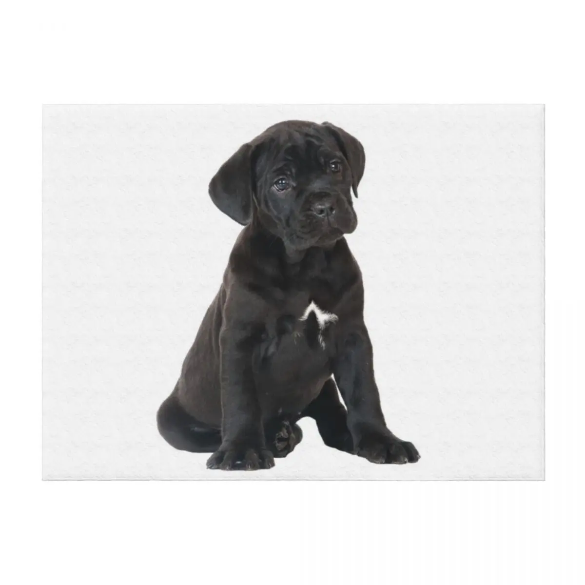 

Cane Corso Puppy Throw Blanket Fashion Sofas christmas gifts Personalized Gift Softest Blankets