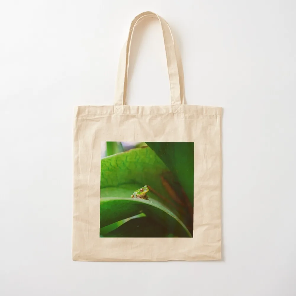 Friends in low places Tote Bag Big bag women shopping bags foldable shopper bags Canvas Tote Bag