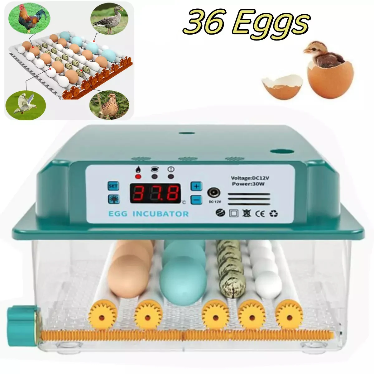 36 Eggs Incubator Fully Automatic Turning Hatchery Incubator With Drawer Type Mini Egg Incubator Digital Temp Control Incubato