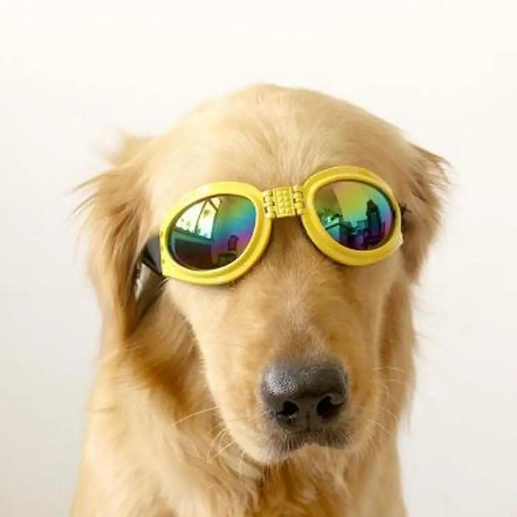 Foldable Pet Dog Sunglasses Eye Wear Protection from /Wind/Water/Debris