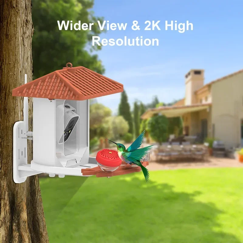 Solar-Powered Wifi Home Security IP Camera Recorder Outdoor Bird Feeder AI-Driven Bird Species Identification