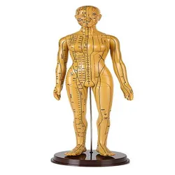 52cm Educational Acupuncture Model Meridian TCM Body Bronze Replica for Medical Teaching And DIY Science Learning