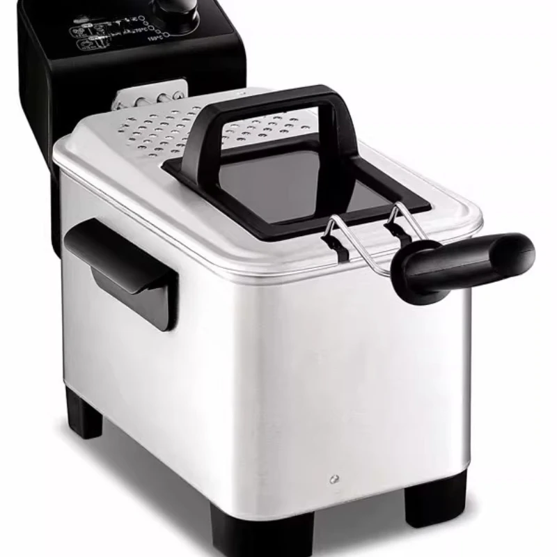 

Stainless steel electric fryer, French fries and fried chicken