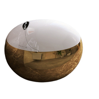 Golden egg-shaped smart toilet integrated voice intelligent control automatic flip siphon toilet