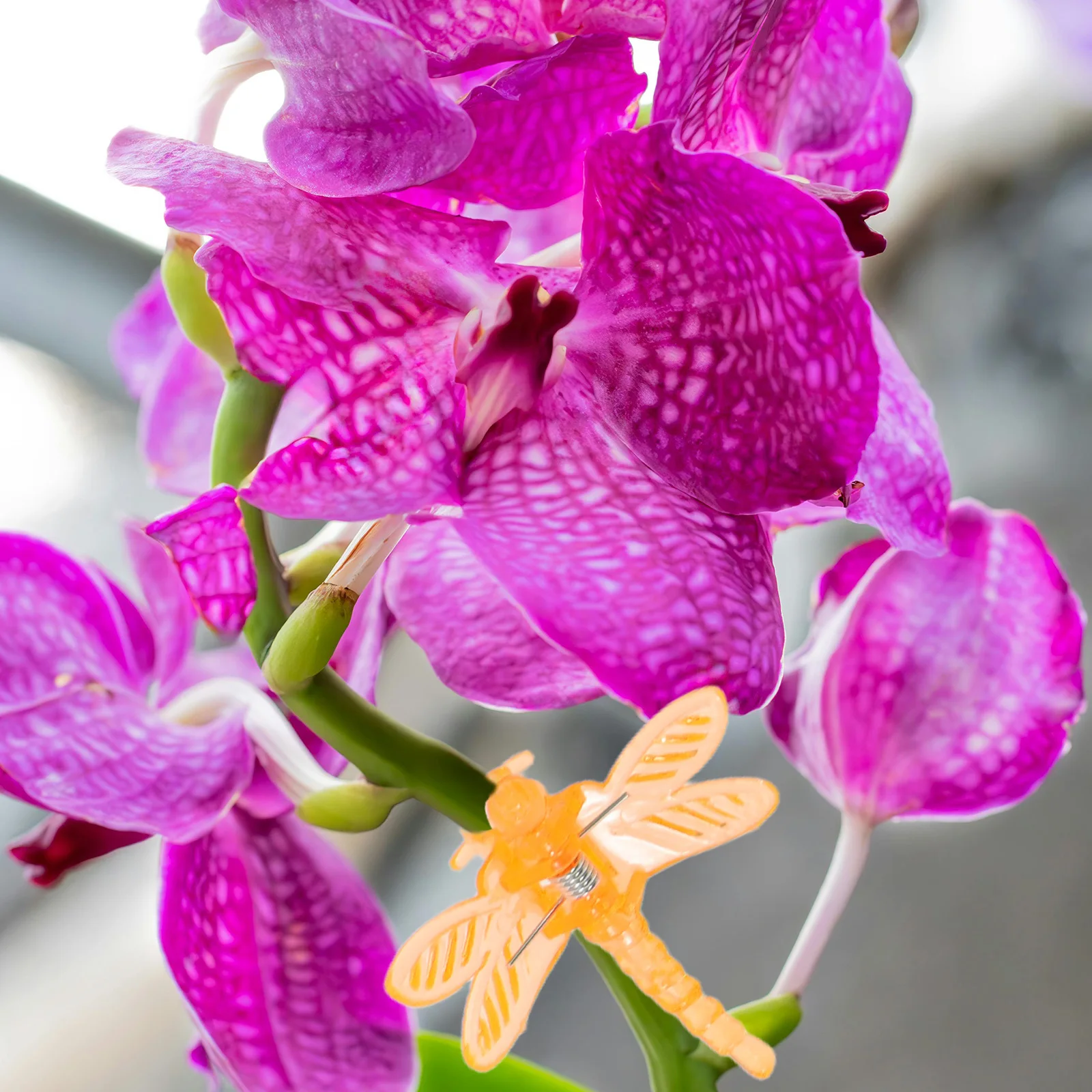 

50Pcs Orchid Support Clips Portable Reusable Plant Fixing Clamps for Vine Flower Arrangement Garden Decor Supplies