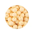 50pcs Beige