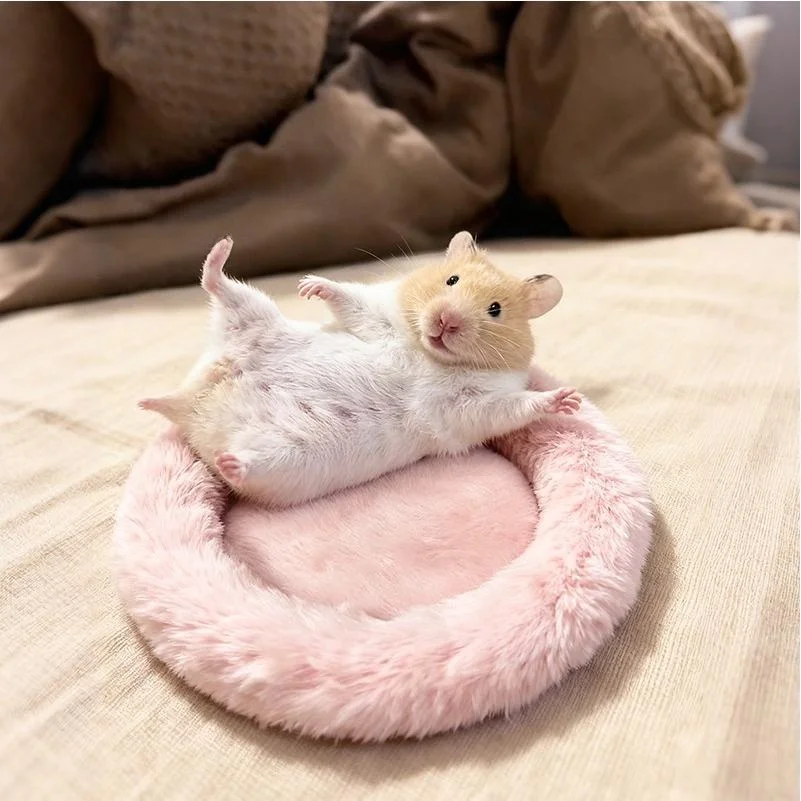 

Soft Rabbit Fur Hamster Bed Cotton Pad round S Mat Comfortable Warm Winter Pet Accories Small Animal Bedding