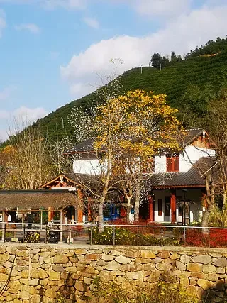 

T-MOTOR F90 2806.5 1300K/1500KV/1950KV 5-6S Remote Brushless Motor suitable for RC FPV Racing Freestyle 5/6/7 inch remote drone