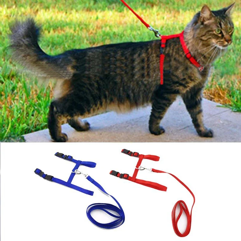 2PCS Cute Pet Chest Strap Outdoor Adjustable Breathable Cat Leash Leash Portable Pet Training Cat And Dog Walking Device