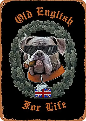 Dsydec Old English Bulldog Vintage Look Metallschild Kunstdrucke Retro Geschenk
