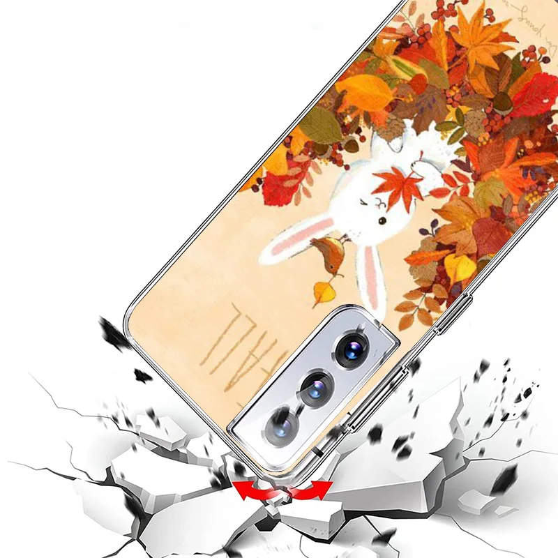 حافظة لهاتف سامسونج جالاكسي S25 S23 S24 Ultra S22 Plus S21 S20 FE S10 S25Ultra S23U غطاء فريد من نوعه Coq