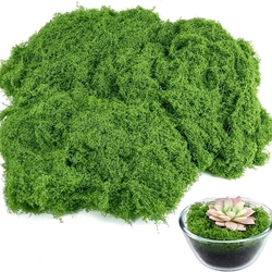30/50g 녹색 가짜 이끼 DIY 공예 잔디 인공 이끼 가짜 보존 이끼 녹색 식물 홈 룸 정원 장식 조경 잔디