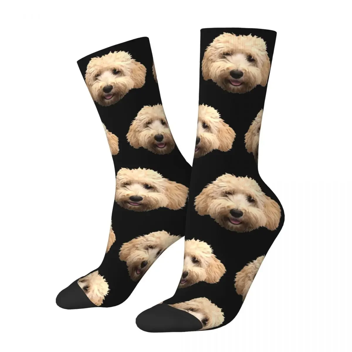 

Rosie The Goldendoodle Grey Socks Harajuku Sweat Absorbing Stockings All Season Long Socks Accessories for Unisex Gifts