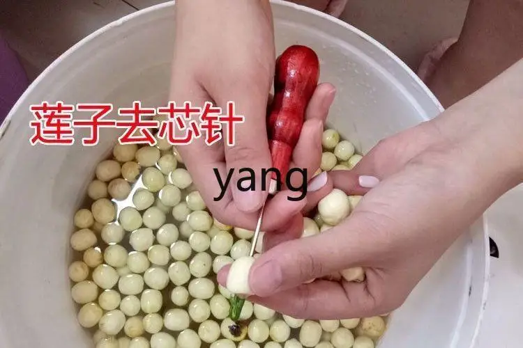 VC lotus seed sheller hand crank lotus seed peeling machine shell peeling machine - view 4