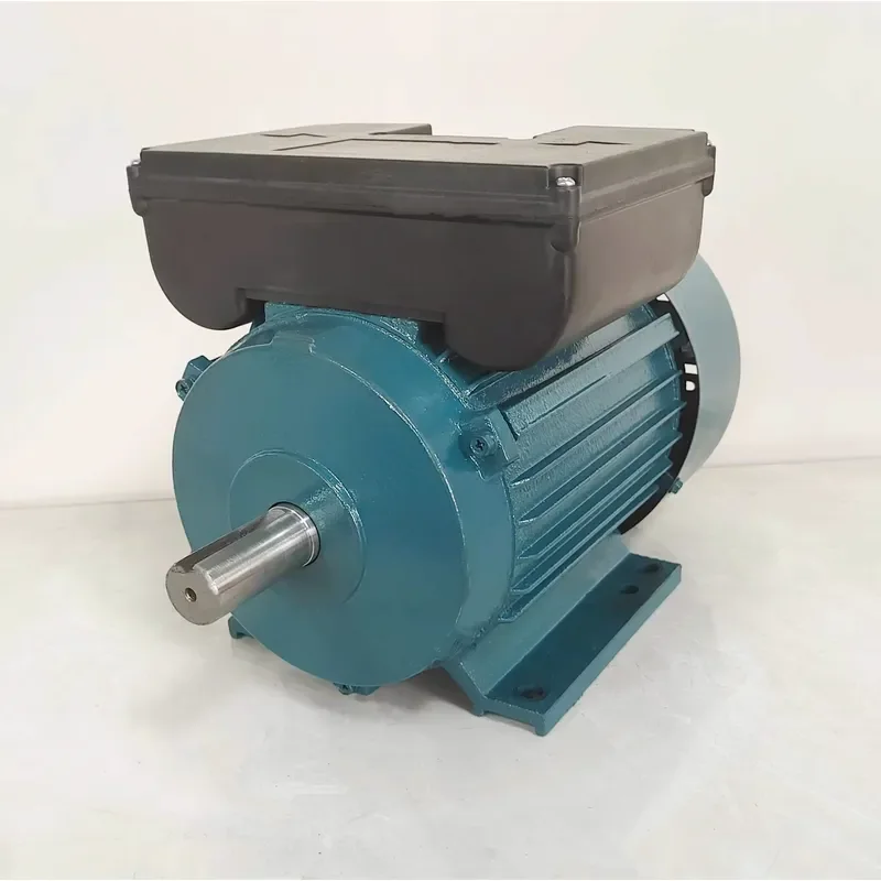 0.75KW Single Phase AC Induction Motor 2 Pole 220V 50Hz Capacitor Start Aluminum Housing IP54 Protection Industrial Electric