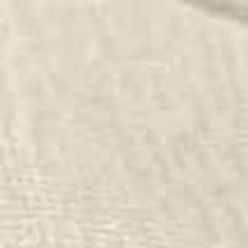 

1Pcs Flocked Resin Dog Puppy Keychain 3D Little Plush Animal Pendant Backpack Car Keyrings Charms Hangs