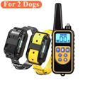8802 black yellow