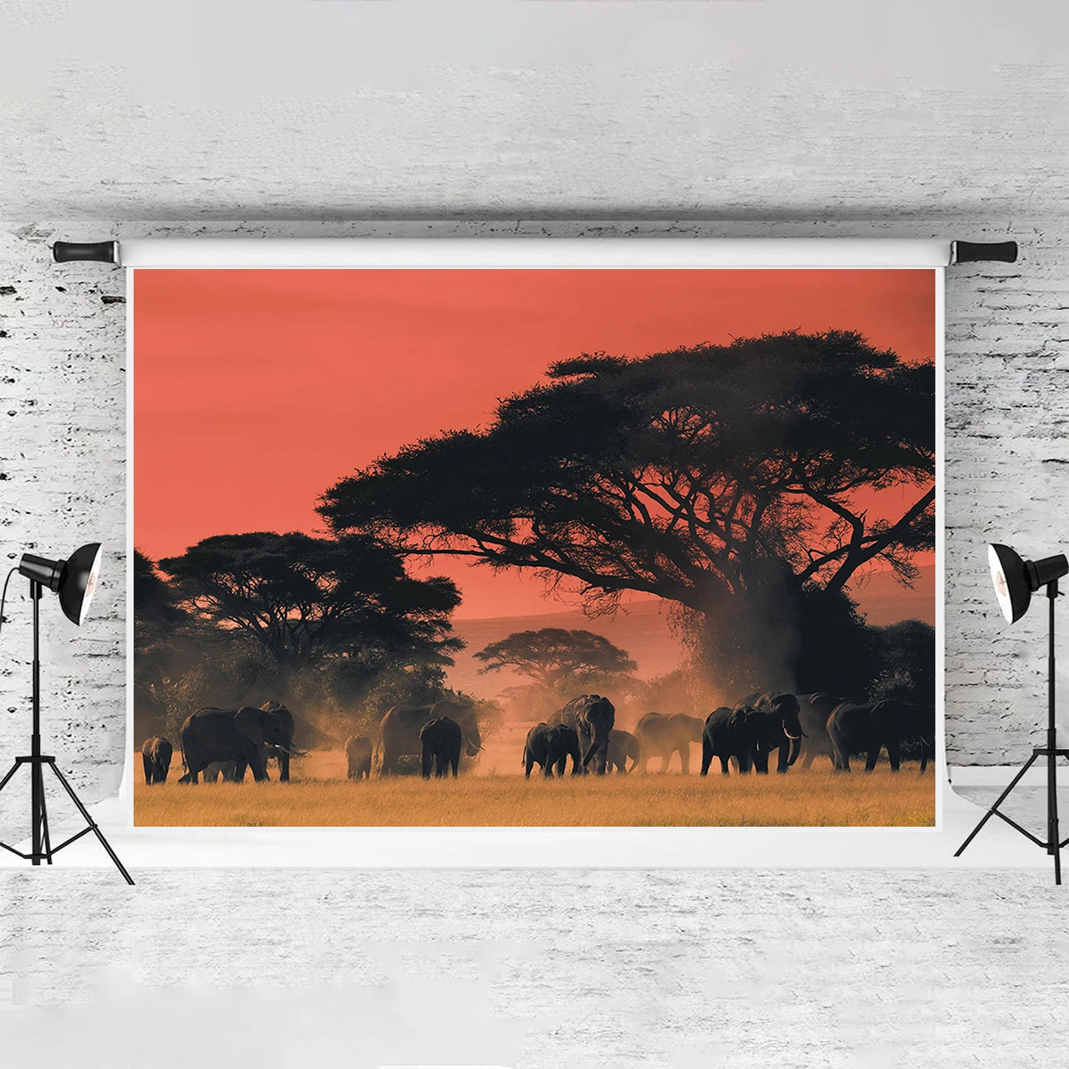 Fondo de TV de animales de la sabana africana, telón de fondo de la familia, elefante, puesta de sol, decoración del dormitorio de la universidad, viaje a la sala de estar