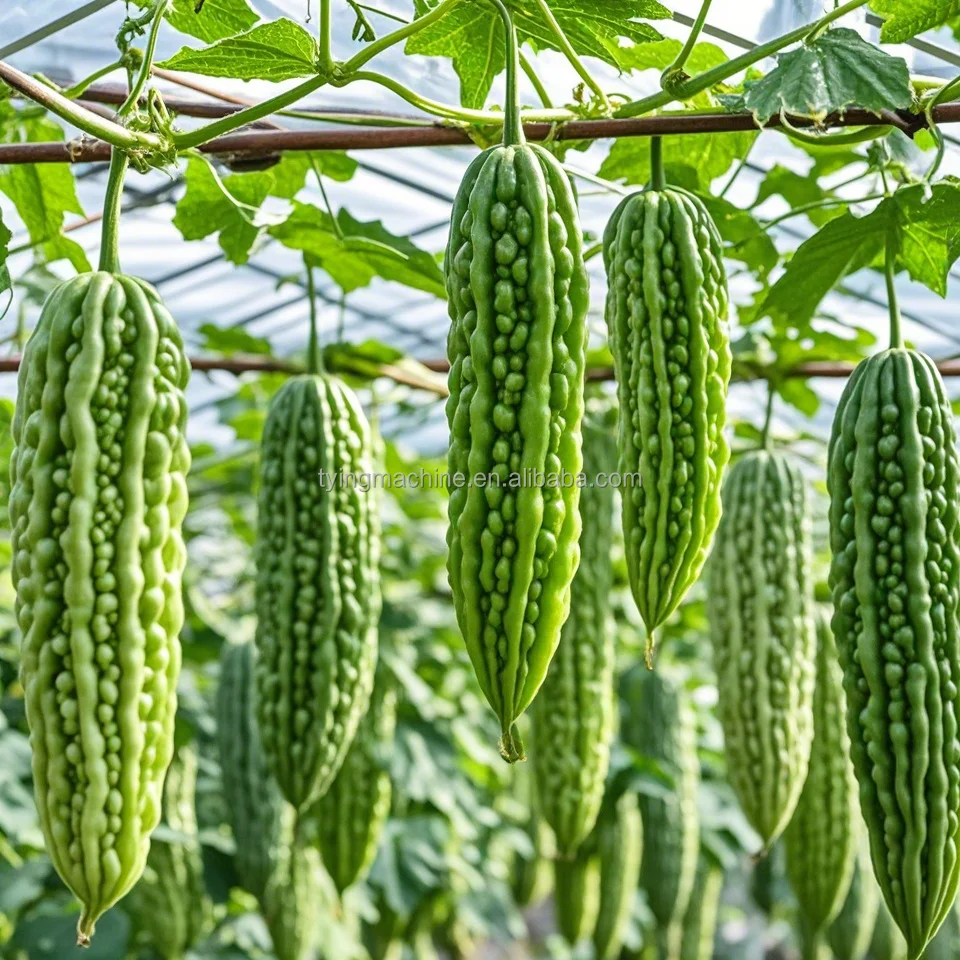 2025年ホリデーギフトテープポータブル植物つる結び機農業用ブドウの枝結束機